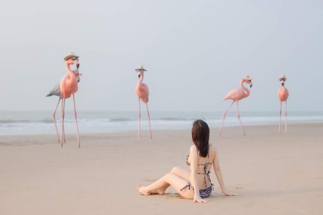 Ib306 Tu Doanh - Flamingo Hai Tien Thanh Hóa Kültér fotó